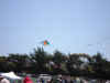 DSC00955.JPG (748307 bytes)
