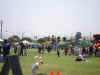 DSC00964.JPG (787366 bytes)
