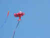 DSCF1606.JPG (582543 bytes)