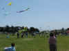 DSCF1621.JPG (607295 bytes)