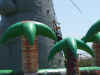 DSCF1645.JPG (602831 bytes)