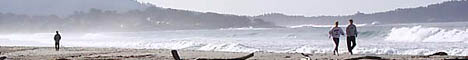 A Banner showing a beach scene.